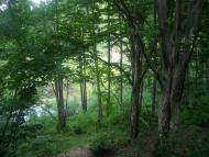 Хмелівка з panoramio.com