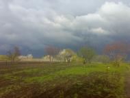 Ширяєве з panoramio.com