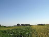 Грабівка з panoramio.com