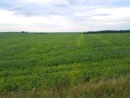 Пролетарське з panoramio.com