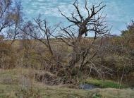 Шахтне з panoramio.com