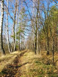 Плахтянка з panoramio.com