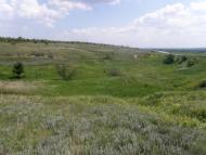 Сабівка з panoramio.com