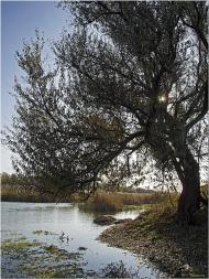 Широчани з panoramio.com