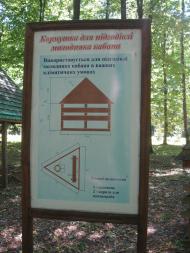 Привільне з panoramio.com