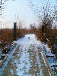Мар'ївка з panoramio.com