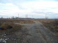 Зарванці з panoramio.com - Зарванцы
