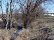 Півче з panoramio.com