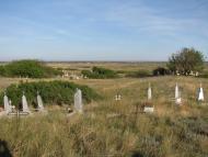 Троїцьке з panoramio.com