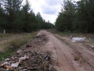 Борівське з panoramio.com