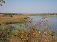 Златоустівка з panoramio.com