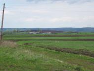 Кутище з panoramio.com