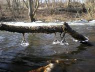 Нова Борова з panoramio.com