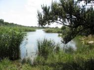 Широчани з panoramio.com