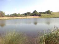 Віжомля з panoramio.com