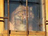 Устинкова Гребля з panoramio.com