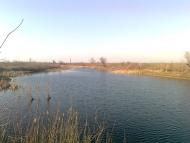 Вірівка з panoramio.com