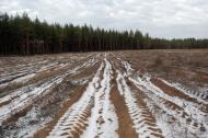 Метьолкіне з panoramio.com