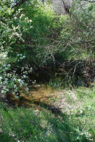 Василівка з panoramio.com