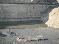 Открытые разработки