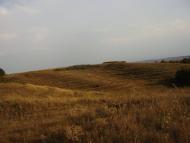 Вільховець з panoramio.com