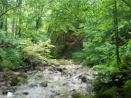 Суржинці з panoramio.com