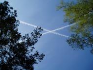 Кропивенка з panoramio.com