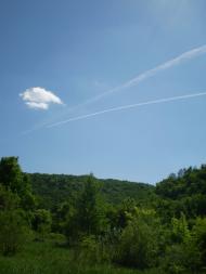 Суржинці з panoramio.com