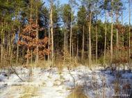 Писарева Воля - Останні фото