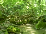 Суржинці з panoramio.com