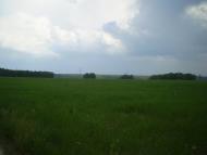 Новий Білоус з panoramio.com