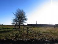 Клавдієво-Тарасове з panoramio.com