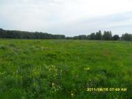 Ковалин з panoramio.com