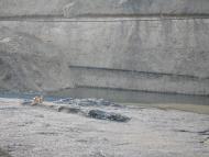 Открытые разработки