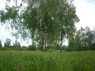 Артинськ з panoramio.com