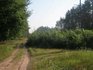 Геронимівка з panoramio.com