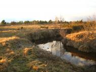 І СВІТАЄ, І СМЕРКАЄ