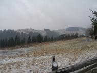 Путила з panoramio.com