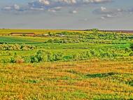 Андріївка з panoramio.com