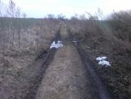 Ковиничі з panoramio.com