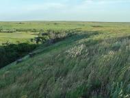 Цупки з panoramio.com