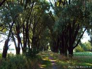 Рожів з panoramio.com