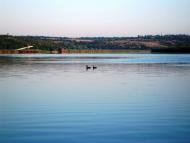 Шостакове з panoramio.com