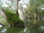 Безіменне з panoramio.com