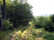 Вучкове з panoramio.com