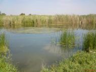 Свердловське з panoramio.com