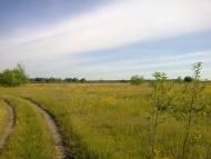 Погорілівка з panoramio.com