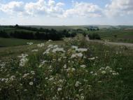 Стрілки з panoramio.com