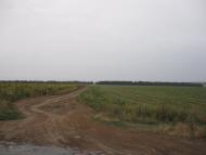 Ярмолинці з panoramio.com