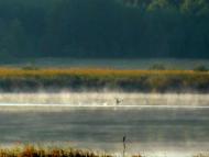 Нехворощ з panoramio.com